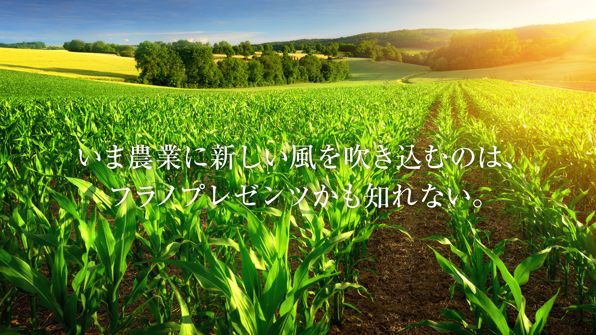 オープニングイメージ1